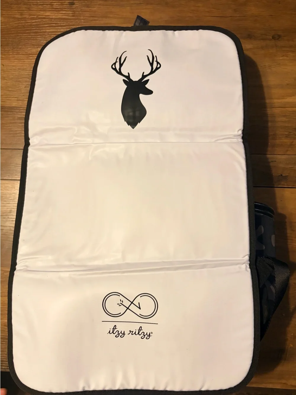 Itzy Ritzy diaper bag